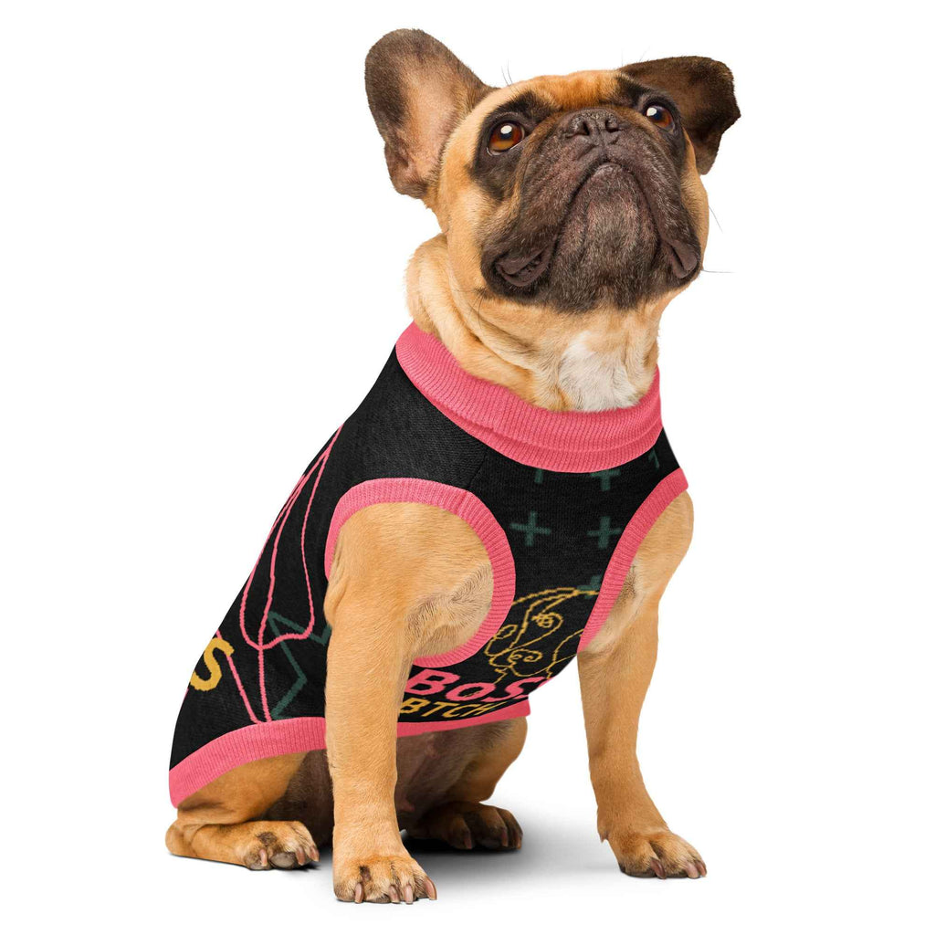 Knitted Style BoSS BTCH Pet Sweater